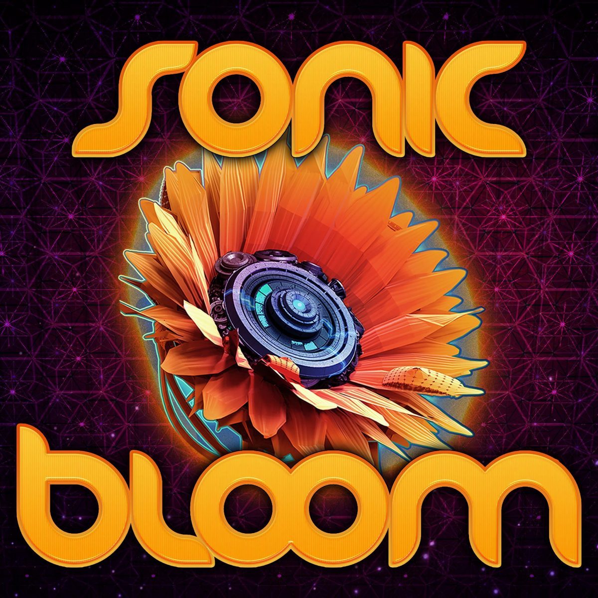 Sonic Bloom HUSHconcerts